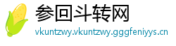 参回斗转网